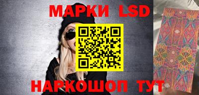 крисы Кулебаки