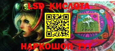 крисы Кулебаки