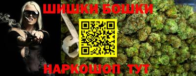 крисы Кулебаки