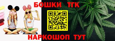 крисы Кулебаки