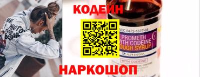 крисы Кулебаки