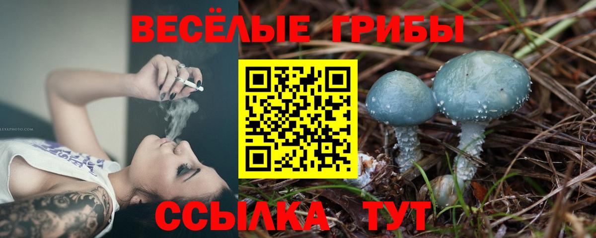 Псилоцибиновые грибы GOLDEN TEACHER Грязи